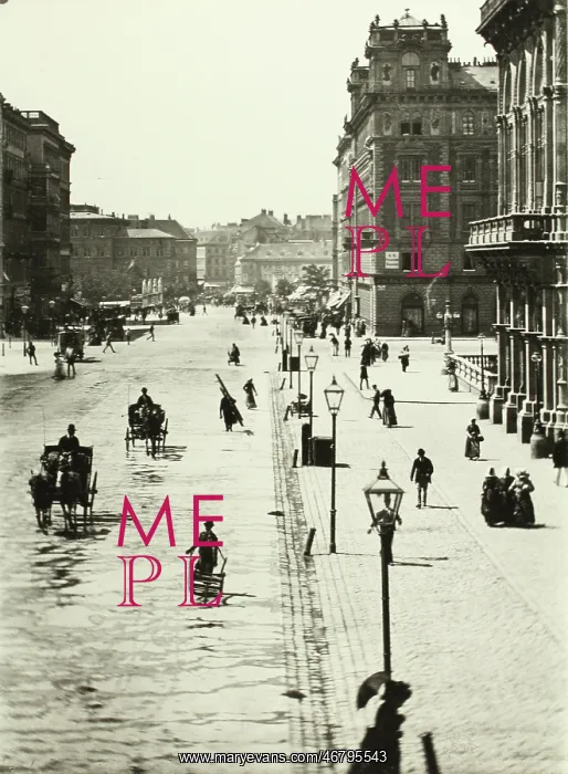 : Crossing at Vienna opera house : Crossing at Vienna opera house