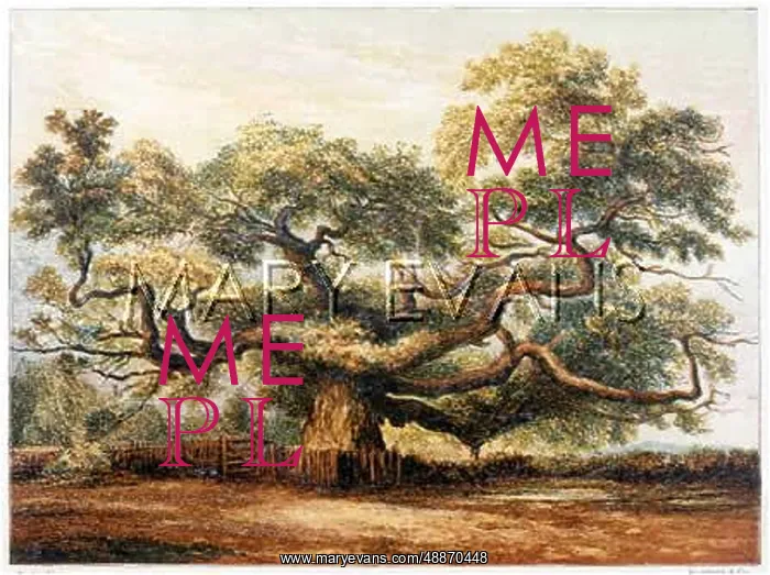 : CROUCH OAK ADDLESTONE : CROUCH OAK ADDLESTONE
