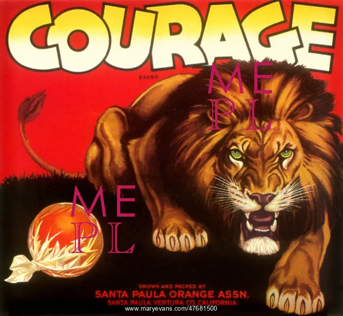  : Crouching Lion