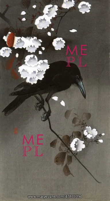  : Crow and Blossoms