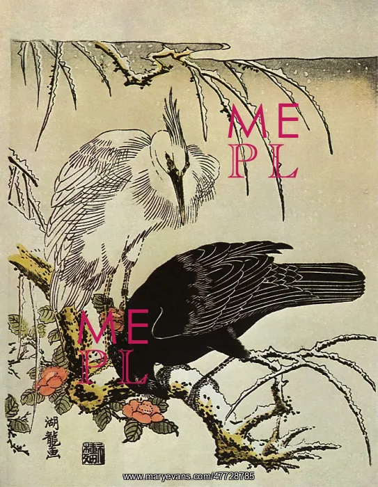 : Crow and Heron in the Snow