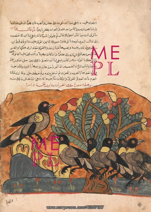 : The Crow King Consults his Ministers, Folio from : The Crow King Consults his Ministers, Folio from