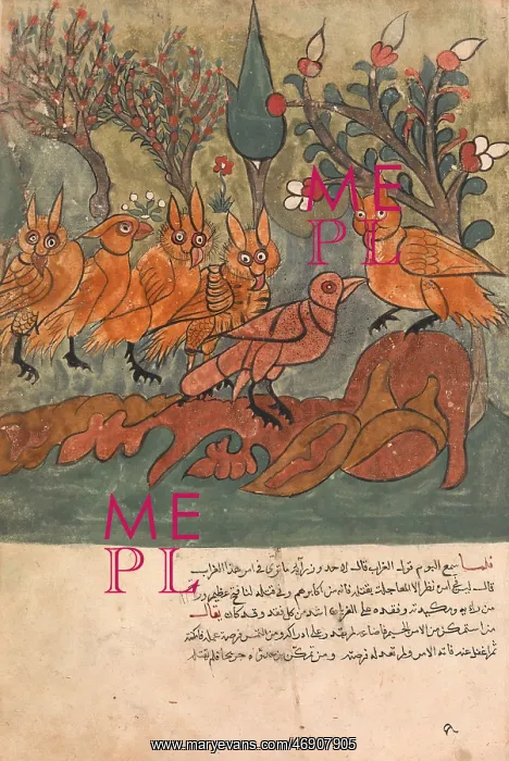 : The Crow Spy Talks to the King of the Owls and : The Crow Spy Talks to the King of the Owls and