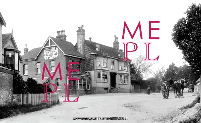  : Crowborough, Red Cross Hotel 1900