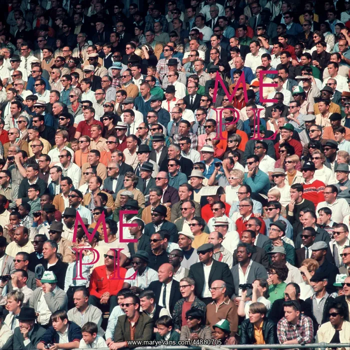 : Crowd : Crowd