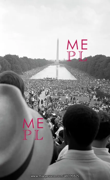 : Crowd of African Americans and whites in Washington : Crowd of African Americans and whites in Washington