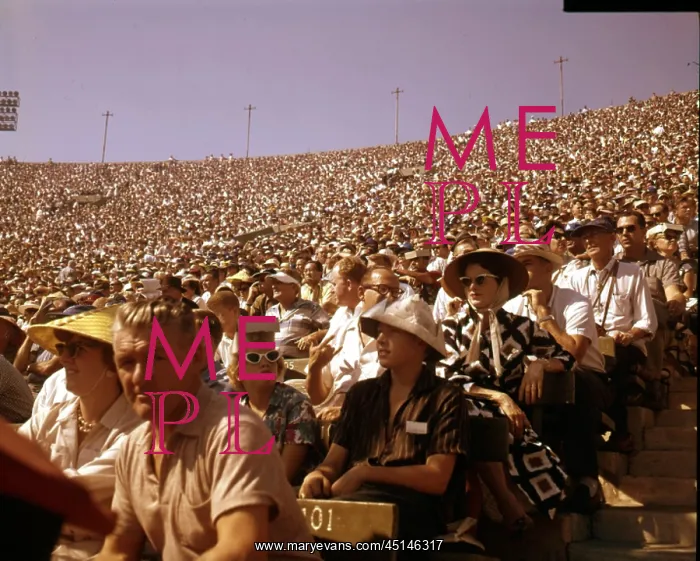  : Crowd At Ball Game