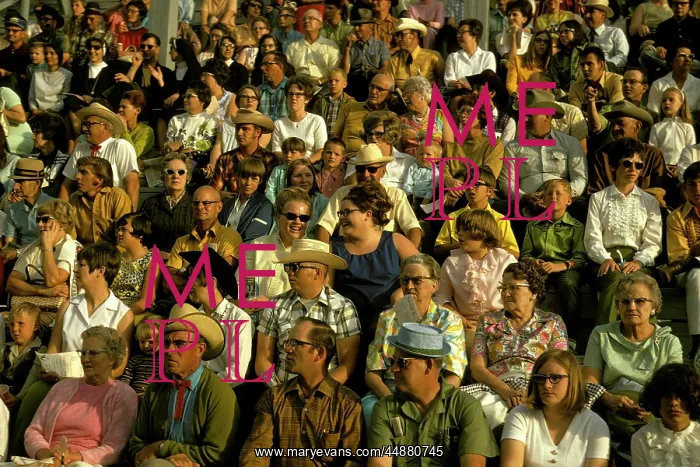  : Crowd In Bleachers