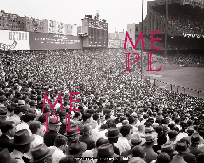 : Crowd in Bleachers - World Series Baseball Game : Crowd in Bleachers - World Series Baseball Game