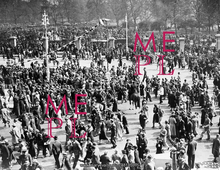 : Crowd at the ceremony on the occasion of the Silver Jubilee : Crowd at the ceremony on the occasion of the Silver Jubilee