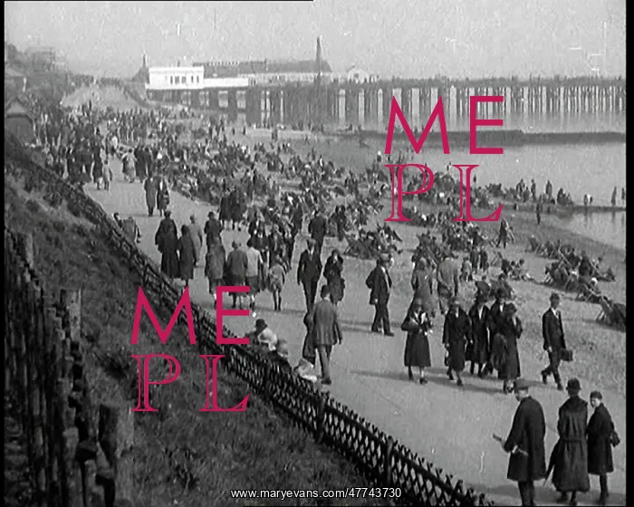 : A Crowd of Civilians Sitting On Deckchairs at the Beach : A Crowd of Civilians Sitting On Deckchairs at the Beach