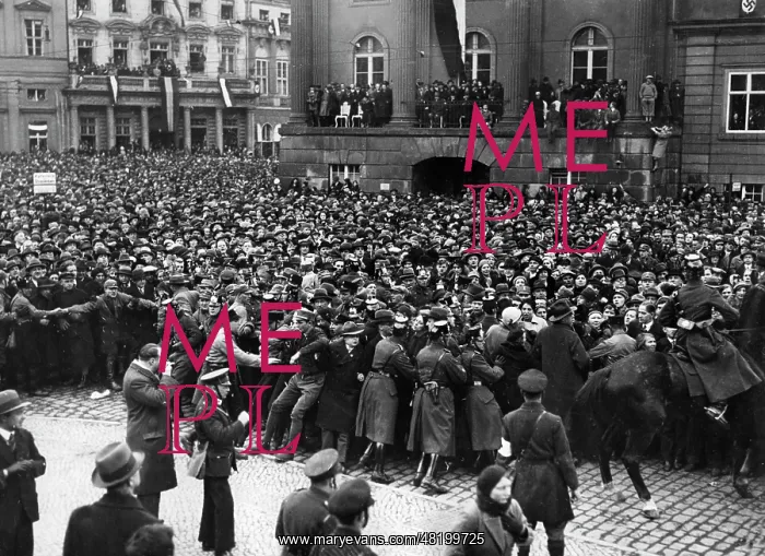 : Crowd control on the Day of Potsdam, 1933 : Crowd control on the Day of Potsdam, 1933