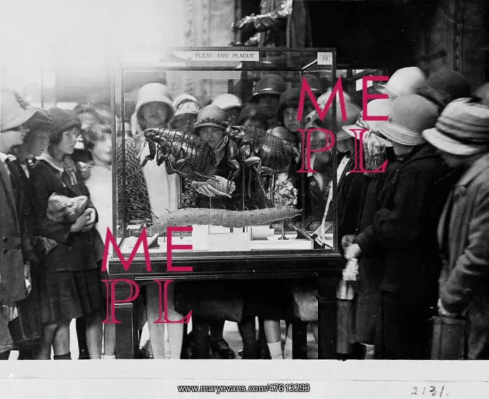 : Crowd around flea case, 1927 : Crowd around flea case, 1927