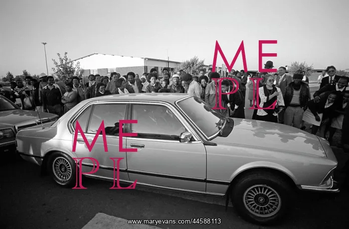 : A crowd gathers on the pavement, peering into : A crowd gathers on the pavement, peering into