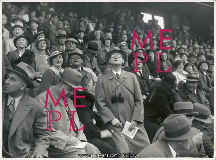 : Crowd at a Horse Race : Crowd at a Horse Race