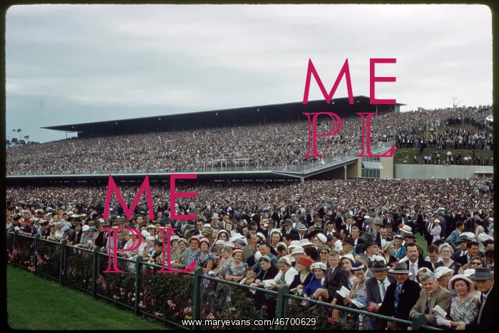 : Crowd - Horse Racing - Melbourne : Crowd - Horse Racing - Melbourne