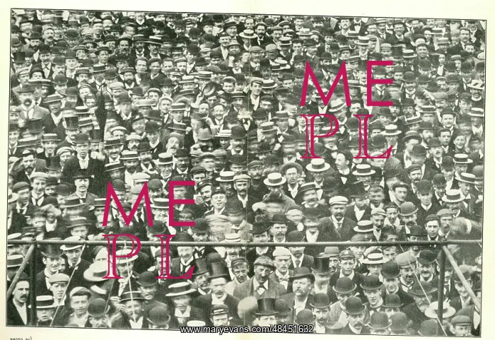  : Crowd at The Oval Cricket Ground, London