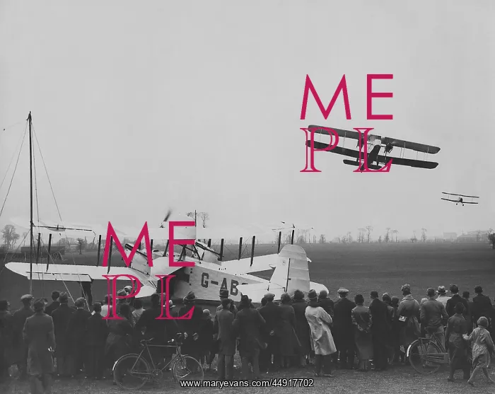 : A Crowd of People Watching a Alan Cobham's Flying Circus? : A Crowd of People Watching a Alan Cobham's Flying Circus?