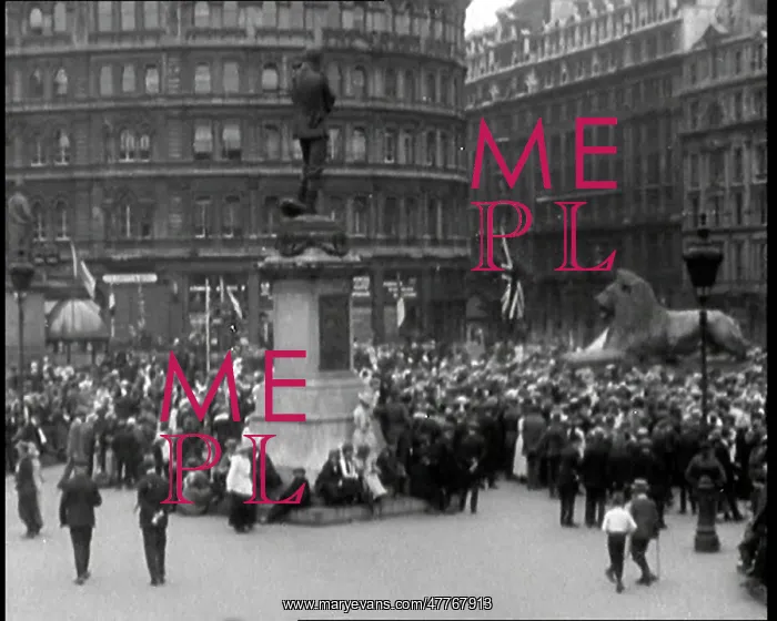 : Crowd Rallying At Trafalgar Square : Crowd Rallying At Trafalgar Square