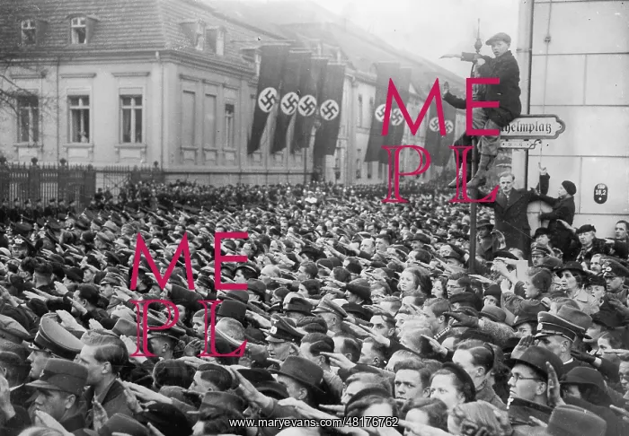 : Crowd at the reception of Hitler after the Anschluss of Au : Crowd at the reception of Hitler after the Anschluss of Au