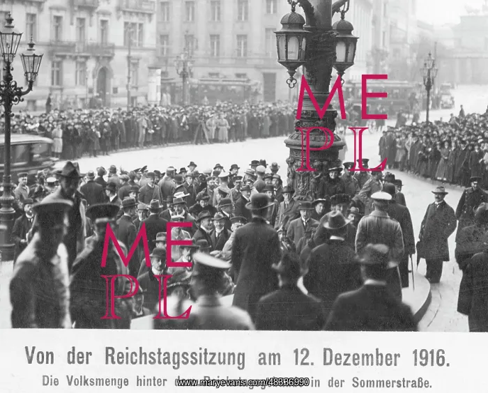  : Crowd before the Reichstag building, 1916