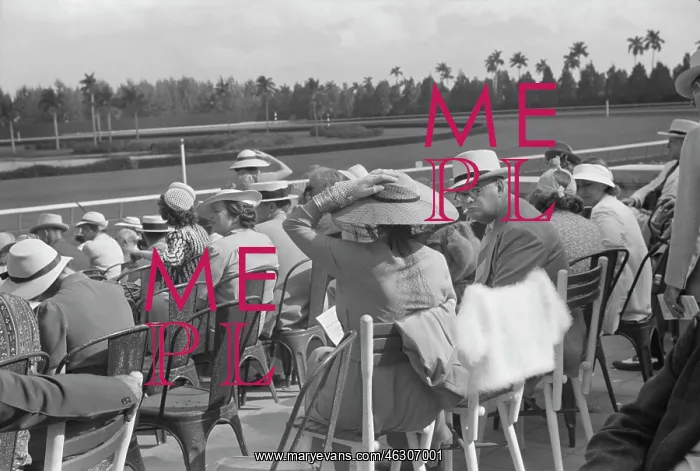 : Crowd - Spectators - Horse Race : Crowd - Spectators - Horse Race