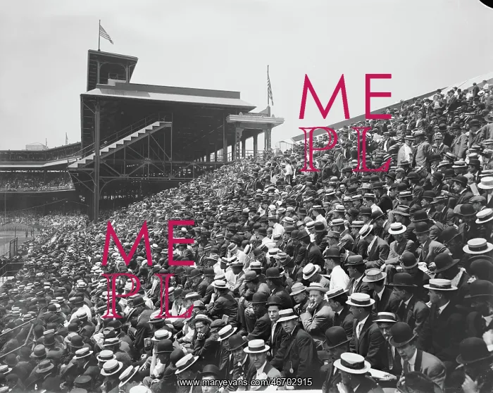  : Crowd - Sports - Stadium - People