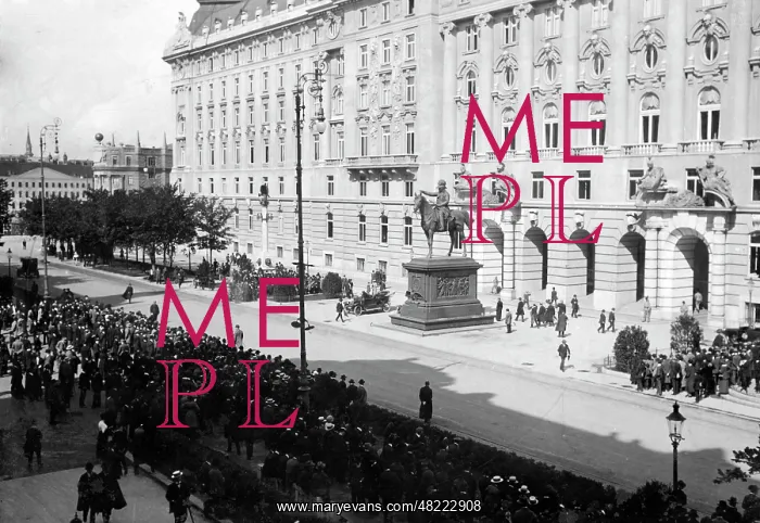 : Crowd in front of the Vienna War Ministry, 1914 : Crowd in front of the Vienna War Ministry, 1914