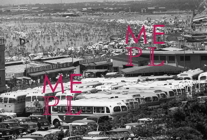  : Crowded beach at the Shonan shores, 1950s