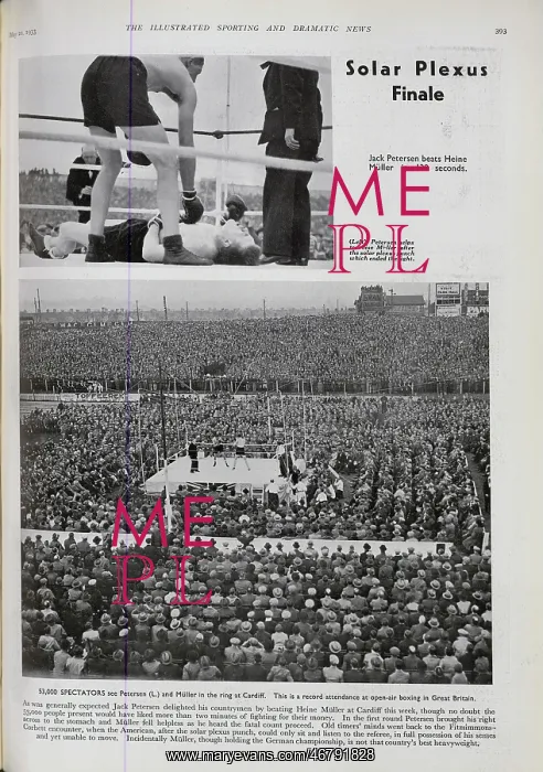 : Crowds at a Boxing Match : Crowds at a Boxing Match