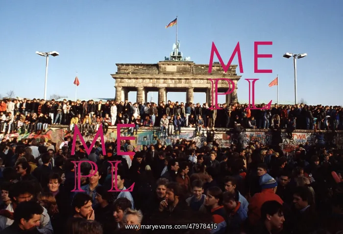 : Crowds at Brandenburg Gate : Crowds at Brandenburg Gate