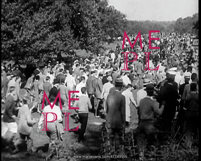 : Crowds Following a Golfer's Shot Across a Golf Course : Crowds Following a Golfer's Shot Across a Golf Course
