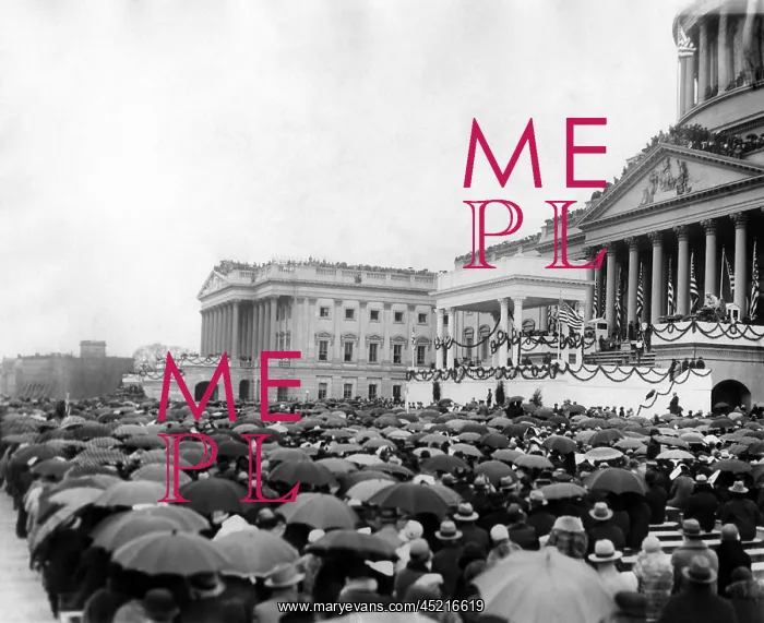 : Crowds at Herbert Hoover's inauguration. ? : Crowds at Herbert Hoover's inauguration. ?