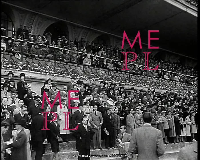 : Crowds Watching at the Longchamp Racecourse : Crowds Watching at the Longchamp Racecourse