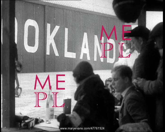 : Crowds Watching a Race at Brooklands : Crowds Watching a Race at Brooklands