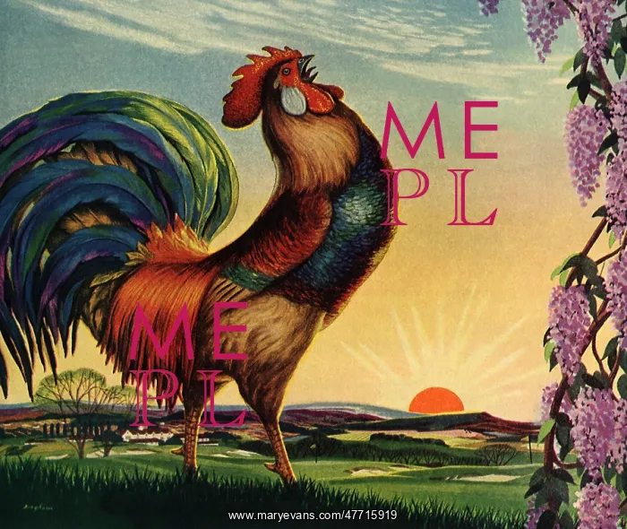  : Crowing Rooster