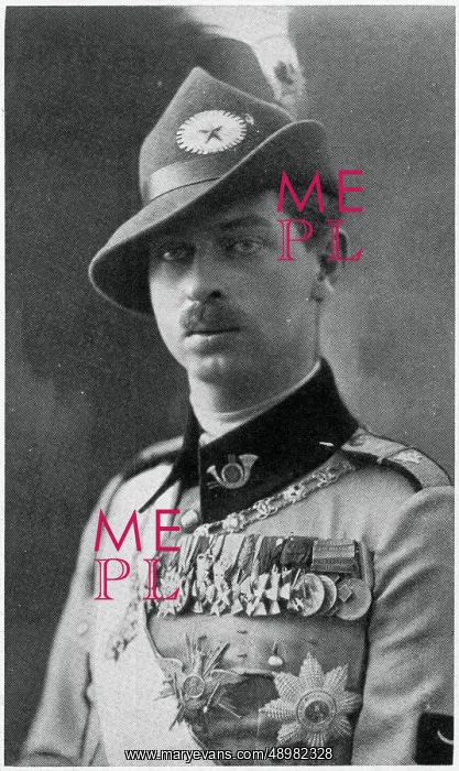 : Crown Prince of Romania : Crown Prince of Romania