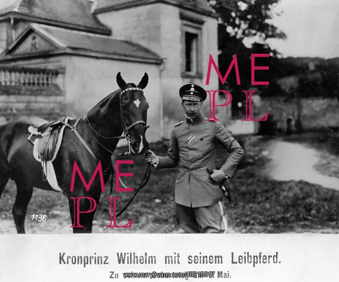 : Crown Prince Wilhelm of Prussia 1916 : Crown Prince Wilhelm of Prussia 1916