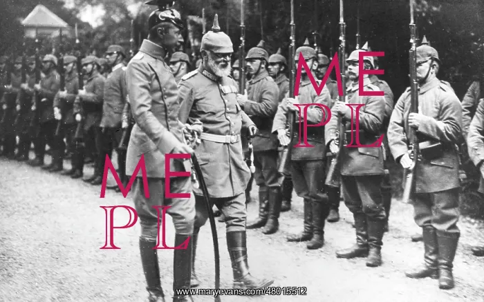 : Crown Prince Wilhelm of Prussia inspecting troops, WW1 : Crown Prince Wilhelm of Prussia inspecting troops, WW1