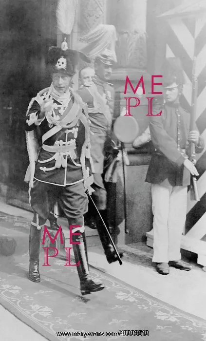 : Crown Prince Wilhelm of Prussia in the uniform : Crown Prince Wilhelm of Prussia in the uniform
