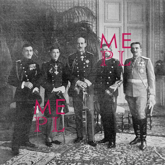 : The five crown princes of the Danube and Balkans : The five crown princes of the Danube and Balkans