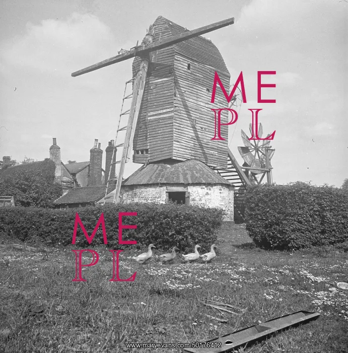 : Crow's Green Windmill, Crow's Green, Bardfield Saling : Crow's Green Windmill, Crow's Green, Bardfield Saling