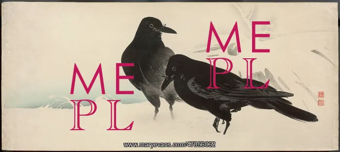 : Two crows stand in the snow : Two crows stand in the snow