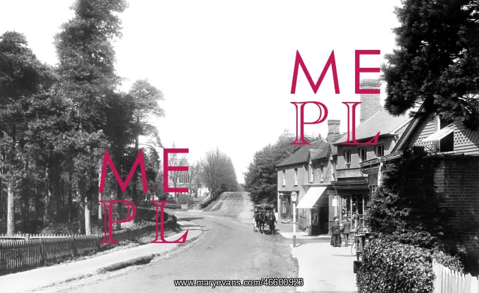  : Crowthorne, Church Street 1908