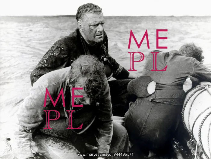 : The Cruel Sea (1953) : The Cruel Sea (1953)