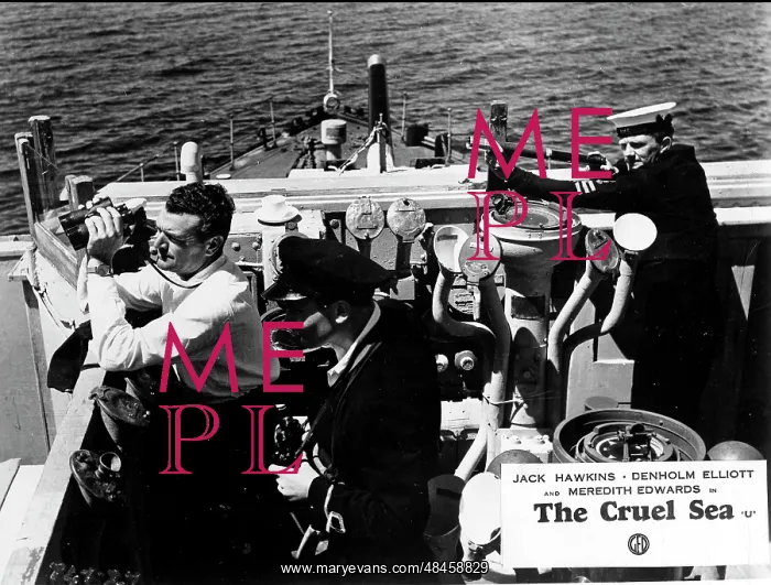 : THE CRUEL SEA : THE CRUEL SEA