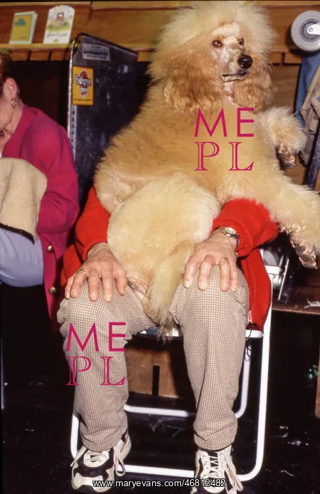  : Crufts Dog Show 1997