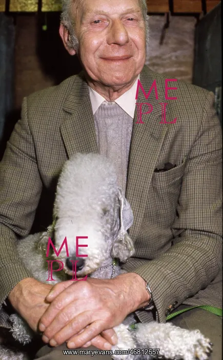 : Crufts Dog Show 1997 : Crufts Dog Show 1997