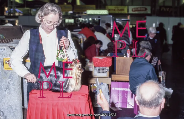 : Crufts Dog Show 1997 : Crufts Dog Show 1997