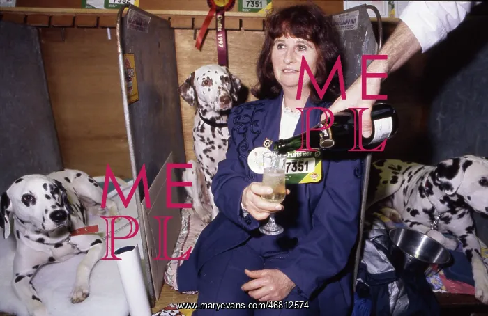 : Crufts Dog Show 1997 : Crufts Dog Show 1997